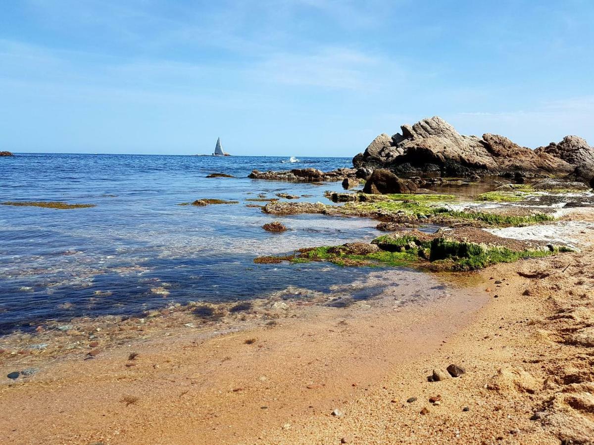 Palamos Apartament Superior Garoina Dış mekan fotoğraf